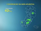 Linhares tem maior área de Mata Atlântica desmatada no ES