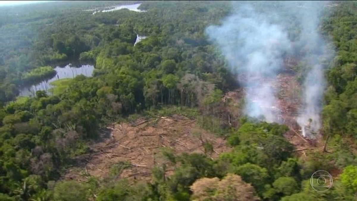 Teste Seus Conhecimentos Sobre O Papel Da Floresta Amazônica No Clima Do Planeta Jornal 5184