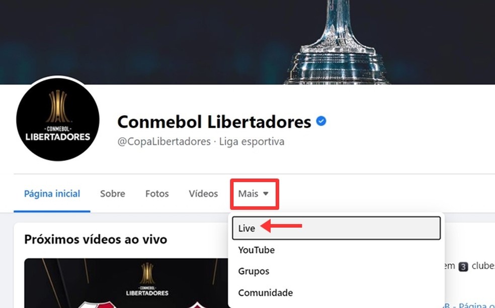 Palmeiras X Universitario Ao Vivo Onde Assistir Ao Jogo Da Libertadores Streaming Techtudo