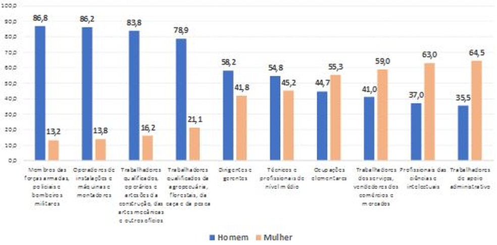 Distribuição percentual (%) da população de 25 a 49 anos de idade ocupada na semana de referência, por grupamentos ocupacionais do trabalho principal, segundo o sexo no 4º trimestre de 2018 — Foto: IBGE/Divulgação