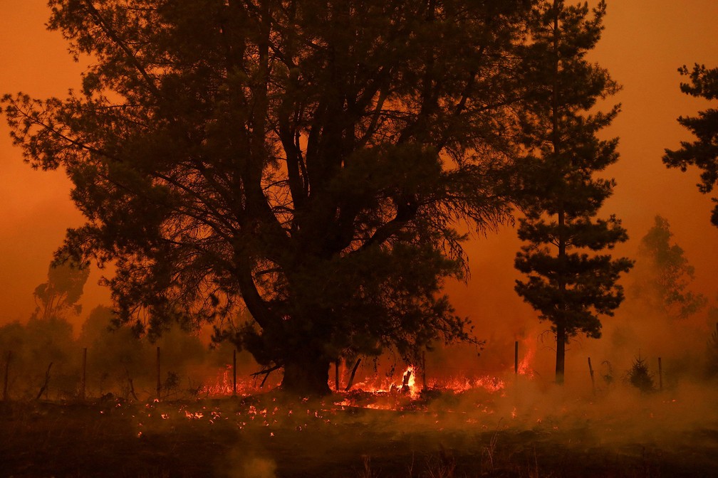 Fogo e fumaça de um incêndio florestal em Santa Juana, perto de Concepción, no Chile — Foto: Ailen Diaz/Reuters