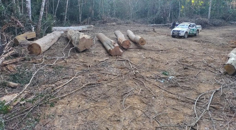 Polícia apreendeu nove toras de madeira retiradas ilegalmente da zona rural de Acrelândia — Foto: Arquivo/Batalhão de Policiamento Ambiental