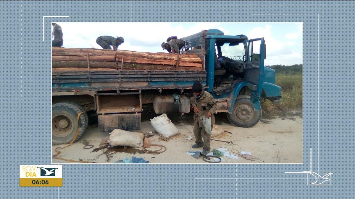 Índios denunciam ameaças de madeireiros em reserva no Maranhão