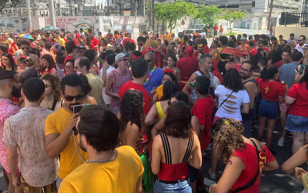 Foliões se reuniram no Recife para o bloco 'Eu me vingo de tu no carnaval' — Foto: Pedro Alves/G1