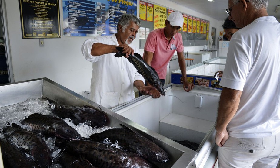 Doença “urina preta” pode estar relacionada a consumo de frutos do mar