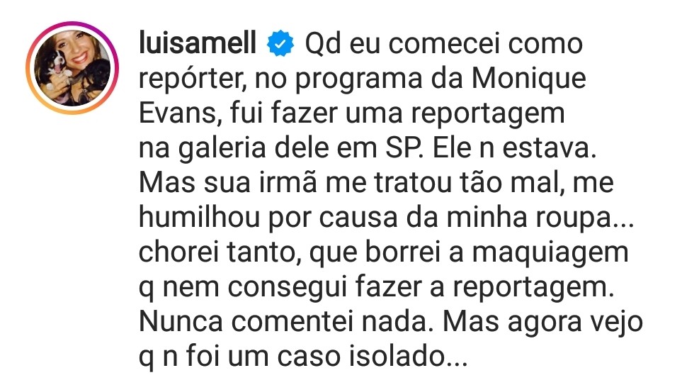 Luisa Mell comenta caso envolvendo Romero Britto (Foto: Reprodução /instagram)