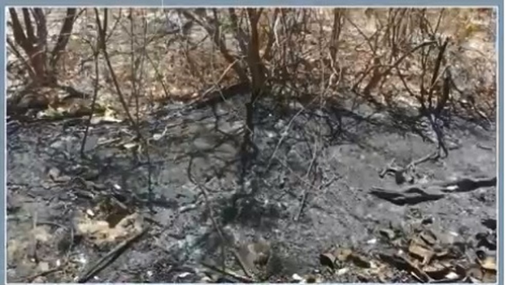 Incêndio no Parque Boqueirão da Onça, no norte da Bahia (Foto: Reprodução/ TV Bahia)