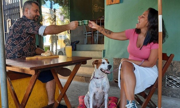 El sello Pet Friendly certifica bares y restaurantes que admiten mascotas – Big Small Business