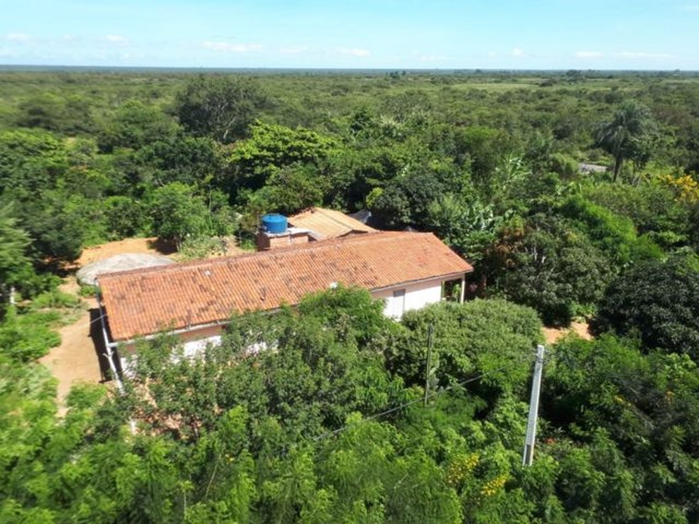 Casa do agricultor Vilmar Luiz Lermen rodeada por agrofloresta em Exu, no Semiárido de Pernambuco — Foto: Arquivo pessoal