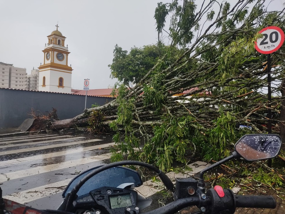 Temporal derruba quase 30 árvores e deixa pelo menos 10 ruas alagadas em São Lourenço, MG — Foto: Reprodução/EPTV
