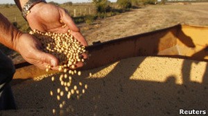 Óleo de soja é o principal subproduto do cultivo transgênico para o consumidor (Foto: Reuters)