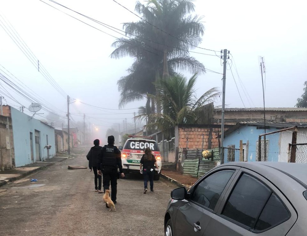 Polícia Civil prende organização criminosa que fazia grilagem de terras no DF e entorno — Foto: PCDF/Divulgação