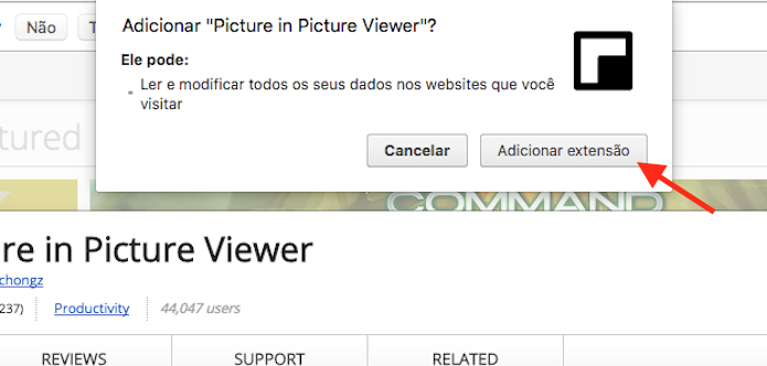 Adicionando a extensão Picture and Picture Viewer ao Google Chrome (Foto: Reprodução/Marvin Costa)