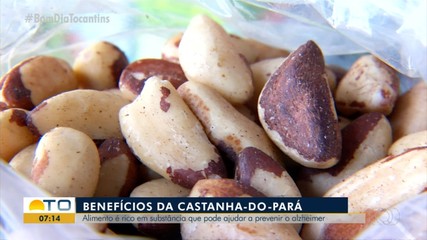 Você gosta da castanha do Pará? Alimento é gostoso e pode prevenir doença do Alzheimer