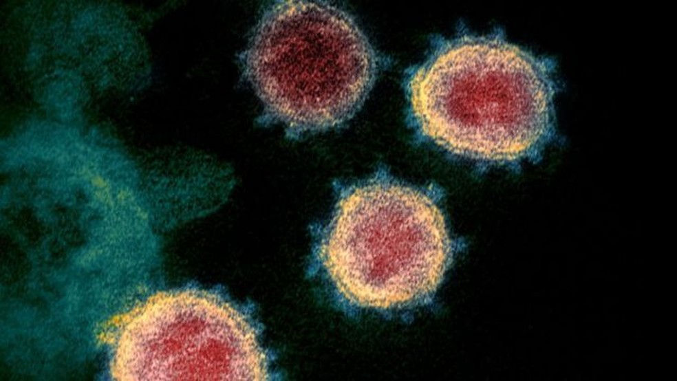 Cientistas não descartam que o gene misterioso encontrado contribua para a biologia única do vírus — Foto: Getty Images via BBC