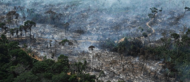  Desmatamento e queimadas na Floresta Amazônica. 