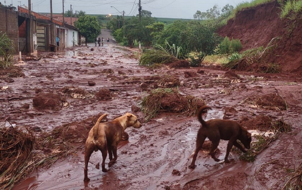 Rompimento de talude deixa casas e ruas cheias de lama em Boicana (SP) — Foto: Luis Magesto/Arquivo pessoal