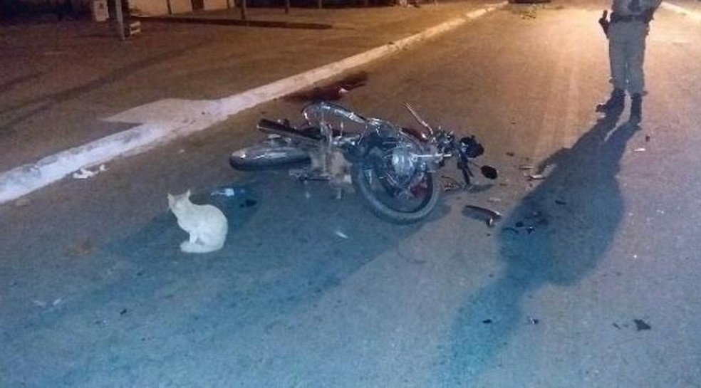 Dados apontam crescimento do número de acidentes com motocicletas no Sul de Minas em 2022 — Foto: Divulgação