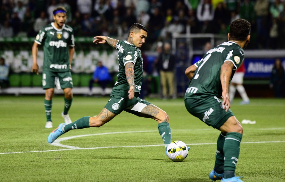 Dudu em Palmeiras x Santos — Foto: Marcos Ribolli