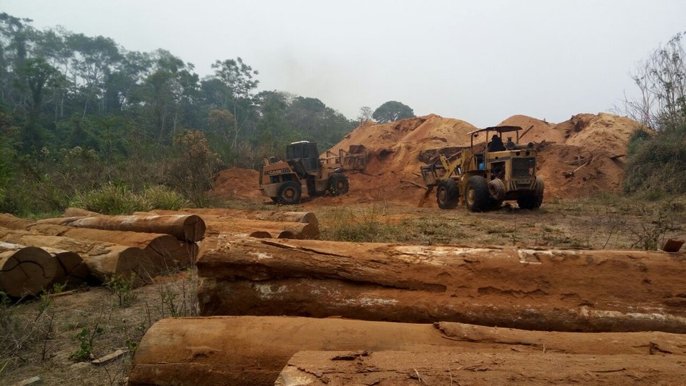 Operação Warã foi realizada em Ji-Paraná, RO (Foto: Polícia Federal/Divulgação)