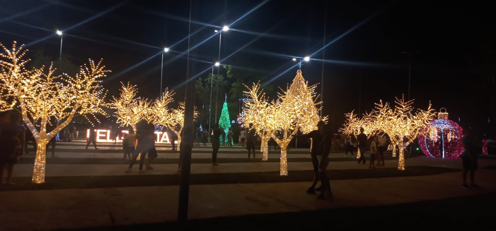 Árvores formam jardim iluminado no Parque da Cidade, em Porto Velho — Foto: Jaíne Quele Cruz/g1
