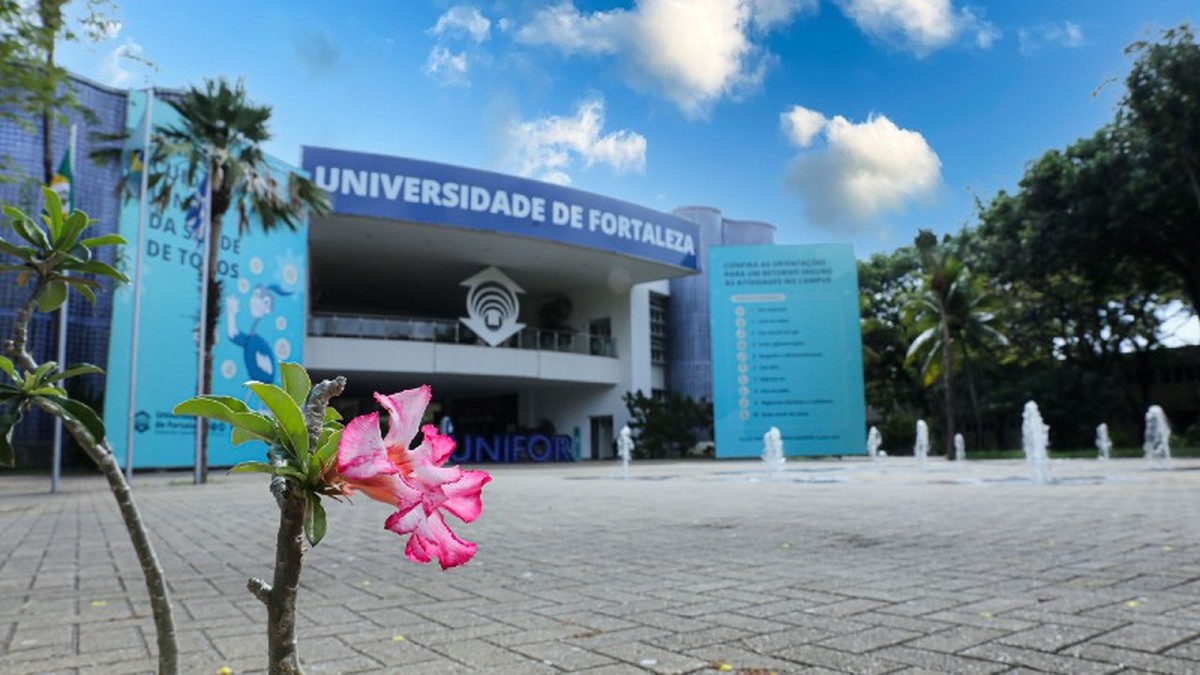 7 universidades brasileiras caem em ranking da Times Higher Education; apenas Unifor melhora desempenho
