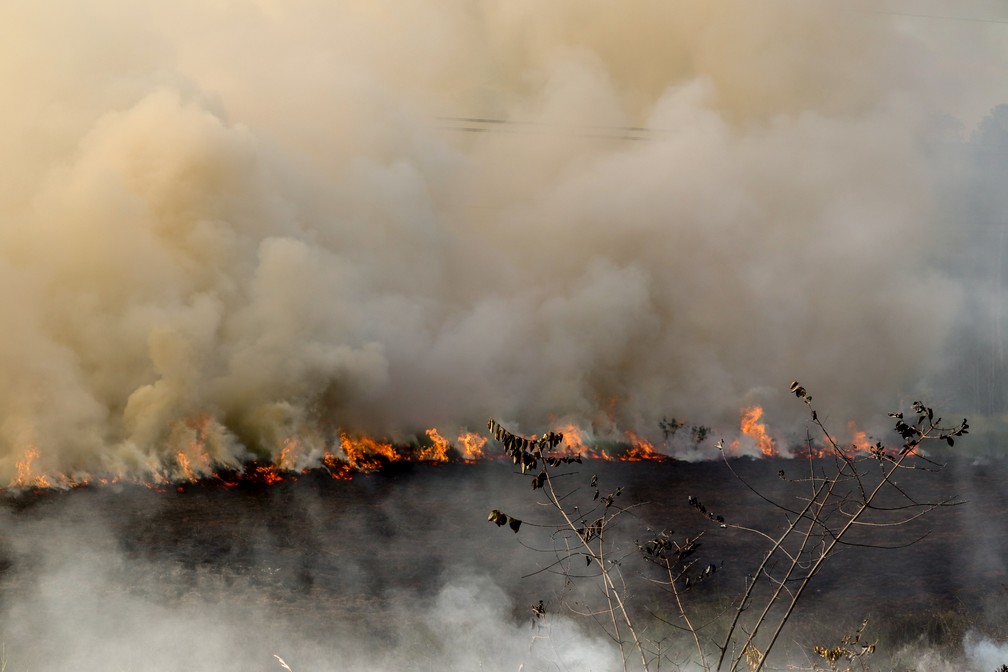 Foto de agosto de 2022 mostra região de queimada na Terra Indígena Mãe Maria, no Pará — Foto: Aiteti Gavião/WWF Brasil