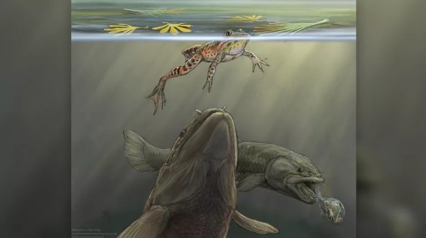 A interpretação de um artista de um peixe regurgitando um sapo (Foto: Reprodução/Ilustração de Brian Engh)