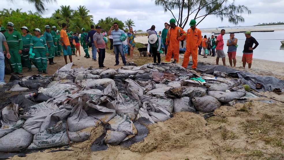 Prefeitura do Cabo de Santo Agostinho e voluntários retiram óleo de praias e mangue do município — Foto: San Costa/TV Globo