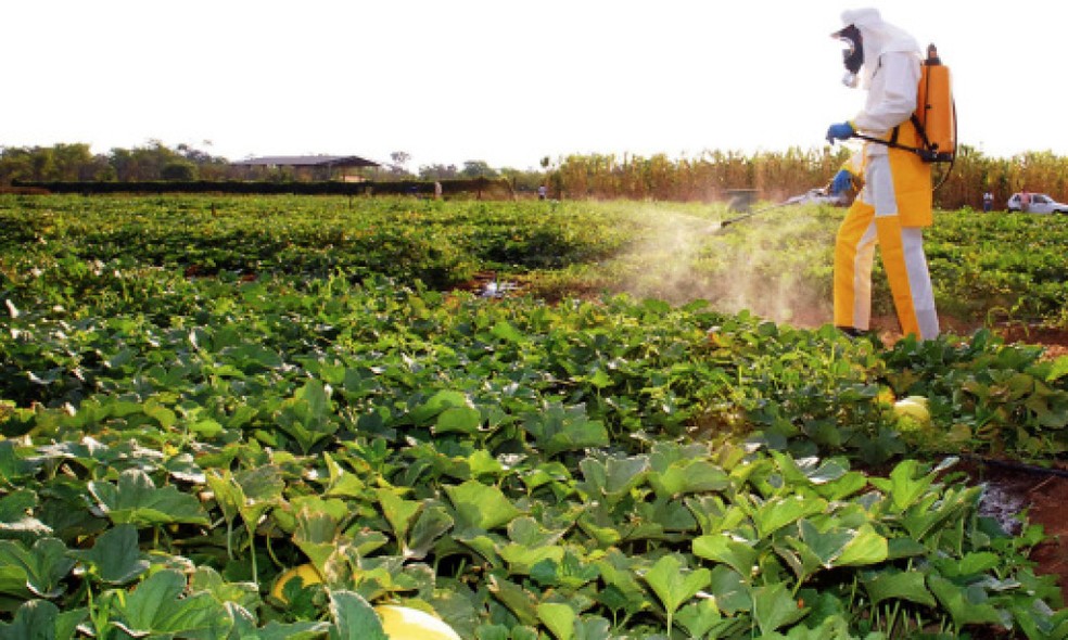 Técnico aplicando defensivo agrícola em lavoura — Foto: Adapec/Divulgação