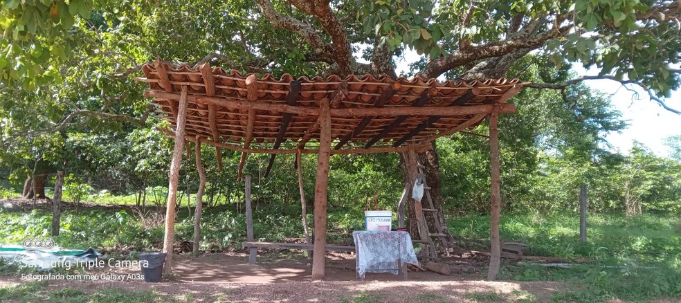 Família improvisou uma cobertura para vender os geladinhos na beira da estrada em Pindorama do Tocantins — Foto: Divulgação