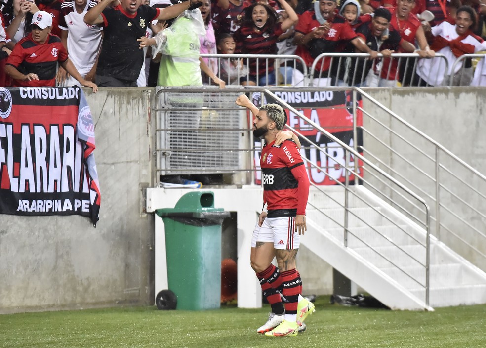 Flamengo x Ceará — Foto: André Durão