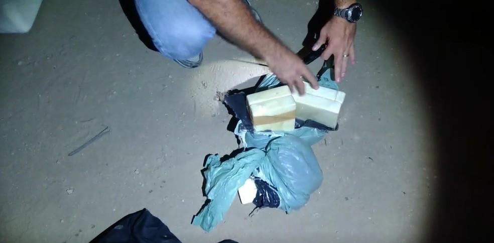 Cocaína vinha de São Paulo e tinha destino a cidade de Quixelô no interior do Ceará. — Foto: Polícia Federal/Divulgação