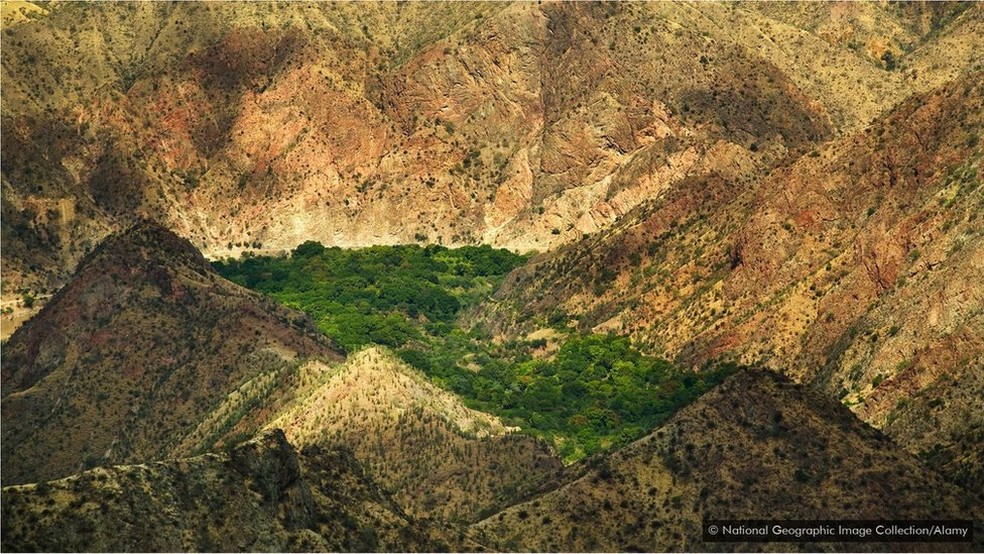 O cânion do rio Marañón impediu um pequeno grupo de cacaueiros de ser dizimado por uma praga na lavoura — Foto: National Geographic Image Collection/Alamy