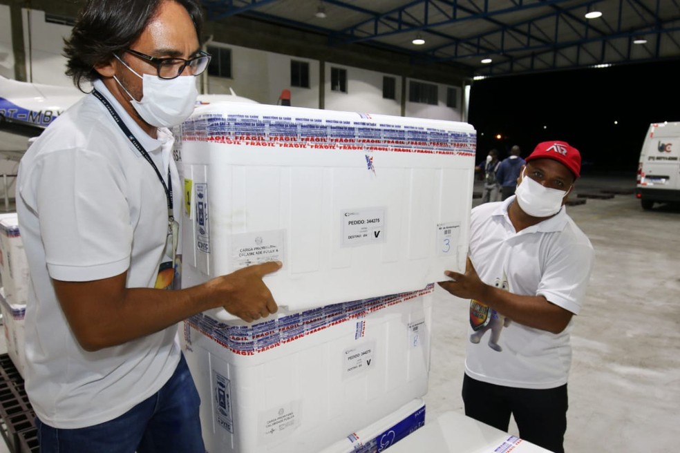 Avião com mais de 178 mil doses da CoronaVac chega a Bahia — Foto: Rafael Menezes/Sesab