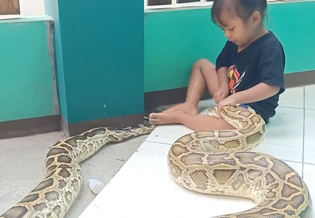 Menina de 3 anos aplica medicamento em cobra (Foto: DailyMail)