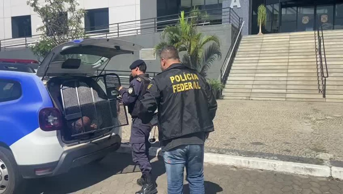 Condenado Por Tráfico Foragido Conhecido Como 'Leidinho' é Preso No ES ...