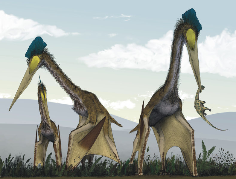 Imagen ilustrativa de la especie de pterosaurio Quetzalcoatlus northropi (Foto: Creative Commons/Mark Witton y Darren Naish)