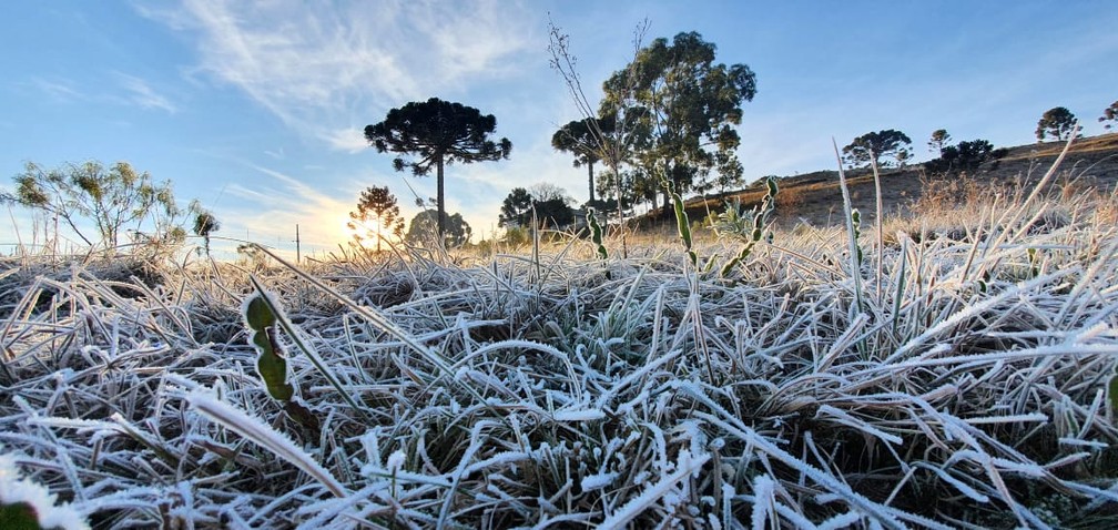 Pasto coberto de geada em São Joaquim em 04 de julho de 2021  — Foto: Mycchel Legnaghi / São Joaquim Online