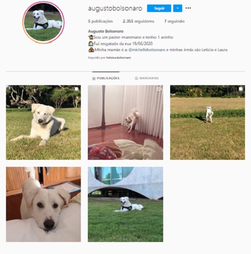 Michelle Bolsonaro criou conta para novo cachorro (Foto: Instagram/ Reprodução)