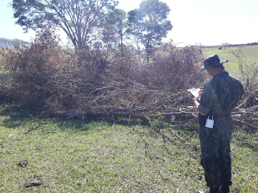 Sitiante foi multado em mais de R$ 40 mil por infrações florestais — Foto: Polícia Ambiental
