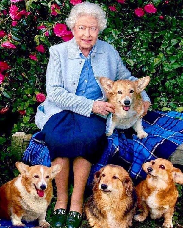 Rainha Elizabeth II e alguns de seus cães da raça Corgi (Foto: windsor.royal.family / Instagram)