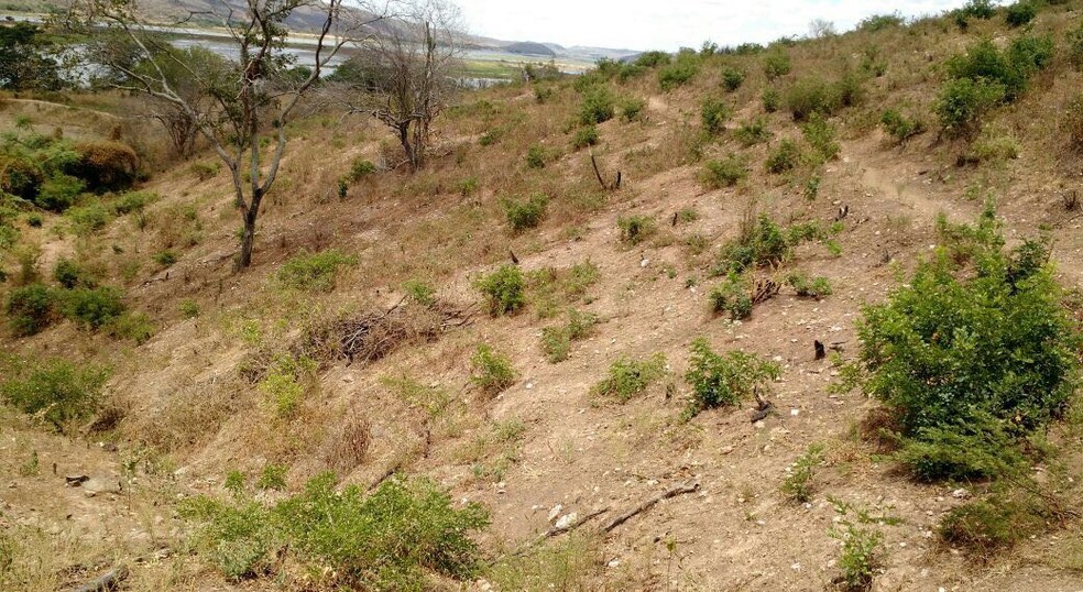 Pontos foram localizados através do geoprocessamento de diversas áreas de possíveis desmatamentos no interior do estado (Foto: Divulgação/BPA)