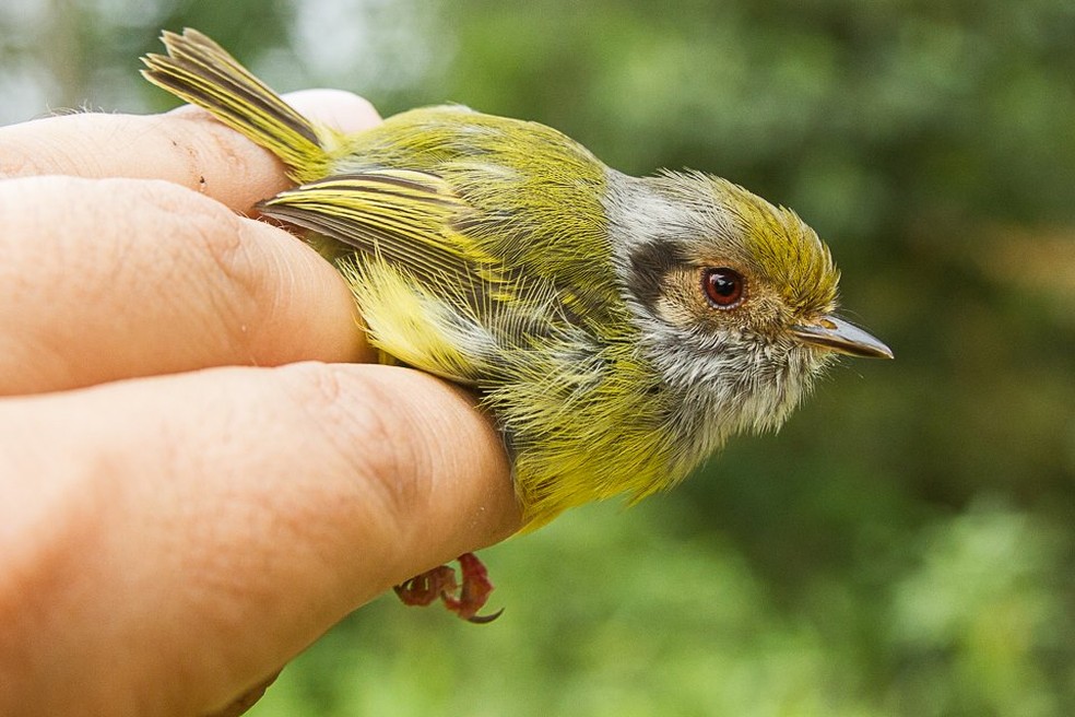 Jovens terão contato extremo com a natureza — Foto: Divulgação