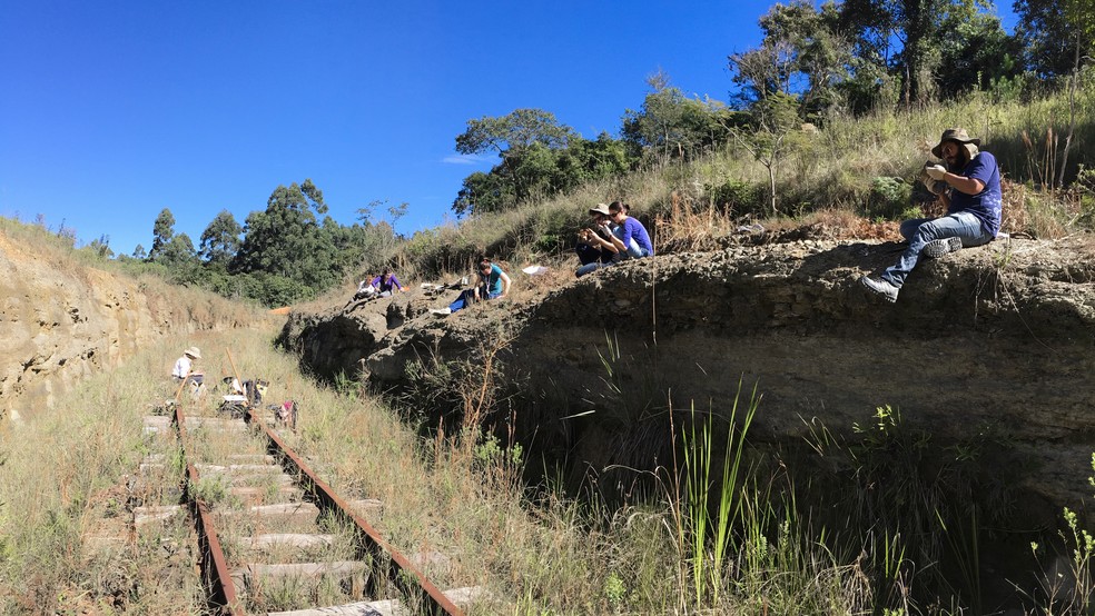 Pesquisadores participam de coleta de fósseis na região dos Campos Gerais do Paraná — Foto: UFPR/Divulgação