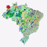 Foto: (mapa da apuração mostra resultados do 1º turno da eleição municipal / Reprodução)