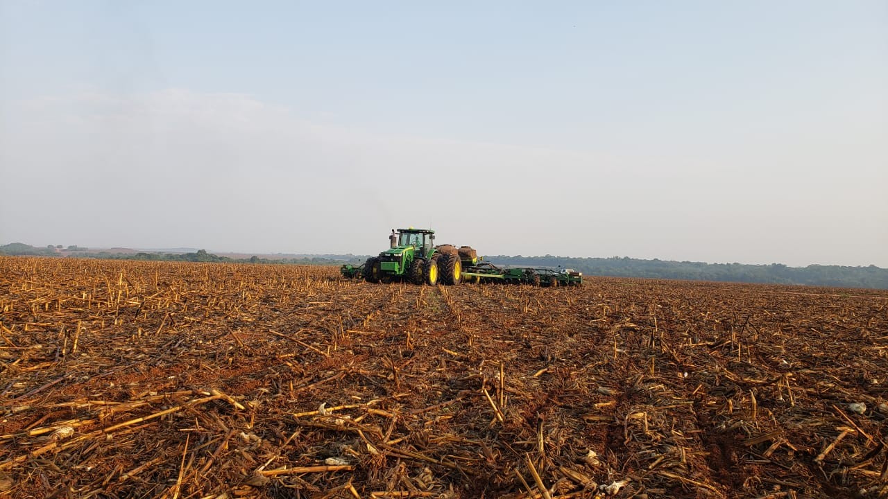Plantio de soja em propriedade da Bom Futuro em Mato Grosso (Foto: Bom Futuro/Divulgação)