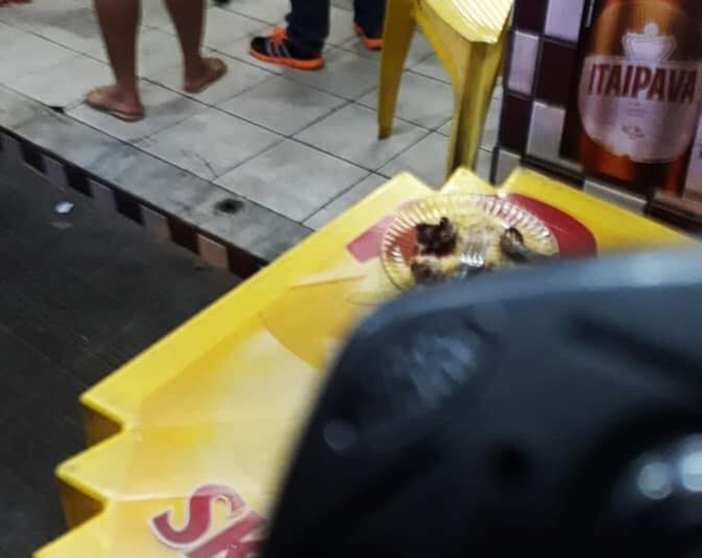 Lutador De Artes Marciais E Morto A Tiros Dentro De Bar Na Zona Sul De Natal Rio Grande Do Norte G1 Para quem gosta, nada melhor do que uma cervejinha bem gelada para refrescar os dias ensolarados e quentes do verão, não é mesmo? lutador de artes marciais e morto a