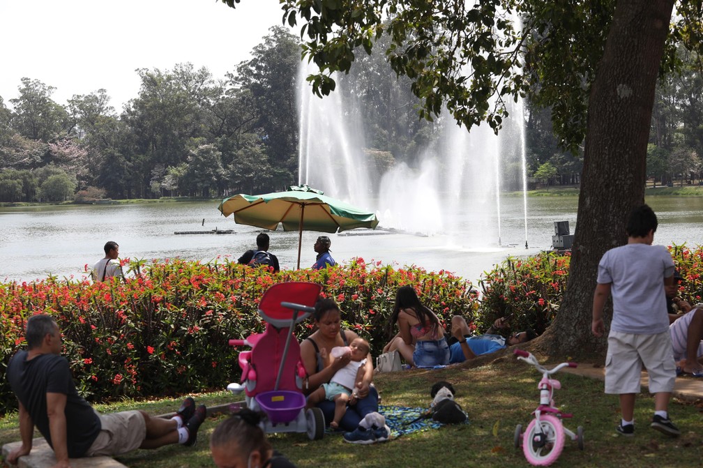 Pessoas descansam junto ao lago do Parque do Ibirapuera, na cidade de São Paulo, neste domingo (27) — Foto: Renato S. Cerqueira/Futura Press/Estadão Conteúdo