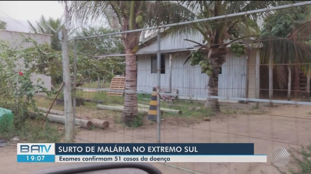 Número de casos confirmados de malária cresce de 35 para 51 no extremo sul da Bahia - Vimarsana News